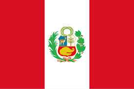 Peru Presidential Election Winner card icon